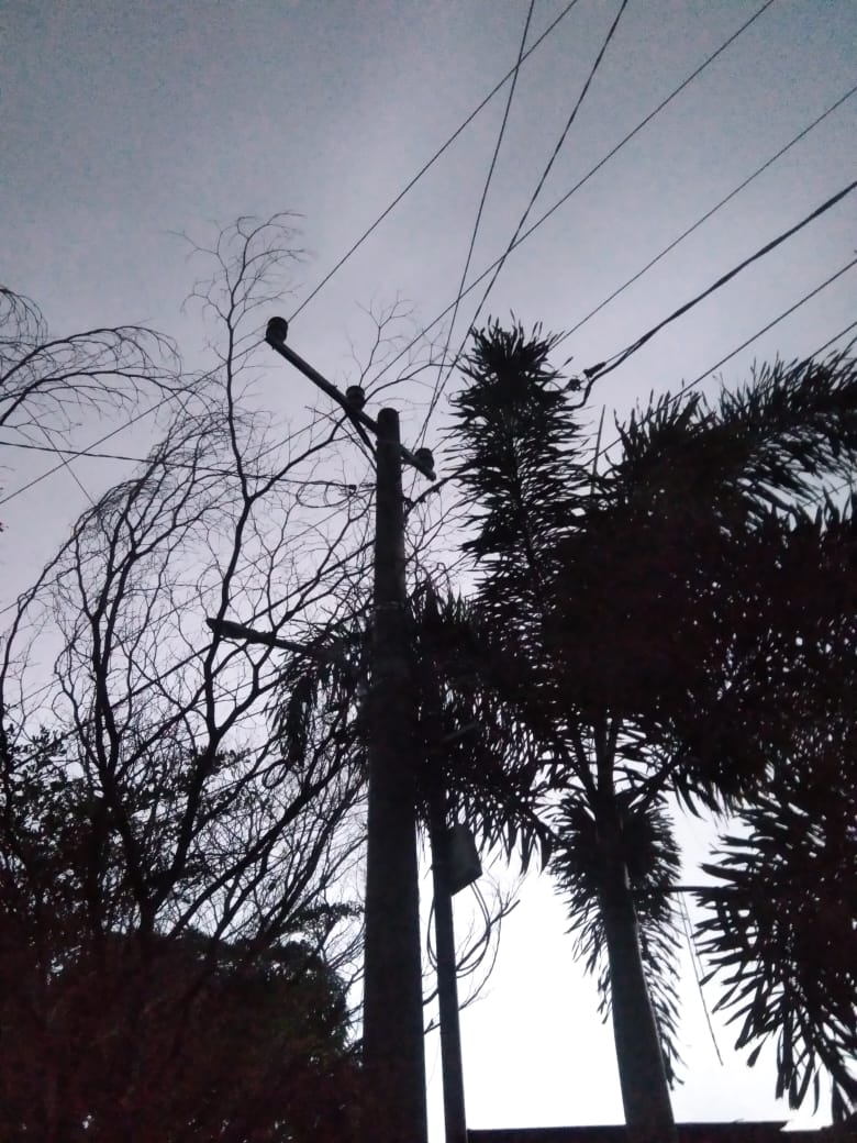 Cuaca Ekstrem Ganggu Listrik di Kota Baru Jambi, Ini Penjelasan PLN 