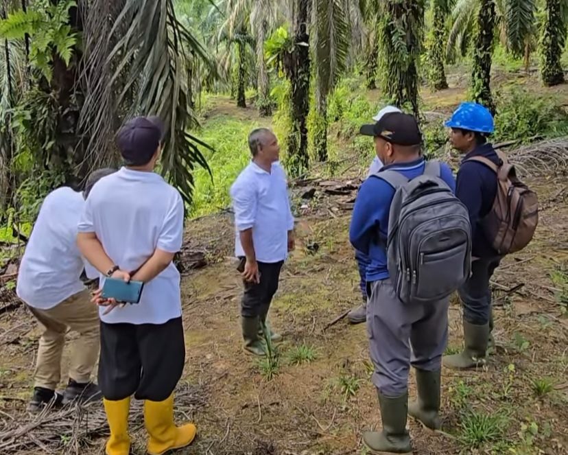 Kunjungan Kerja Region Head PTPN IV Regional 4 Jambi-Sumbar Ke Kebun Pangkalan 50 Kota