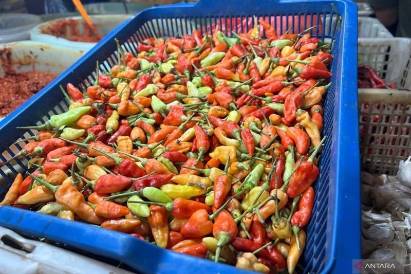 Update Harga Sembako Minggu 3 Agustus 2025, Bawang Merah dan Cabai Rawit Merah Turun Jadi Segini