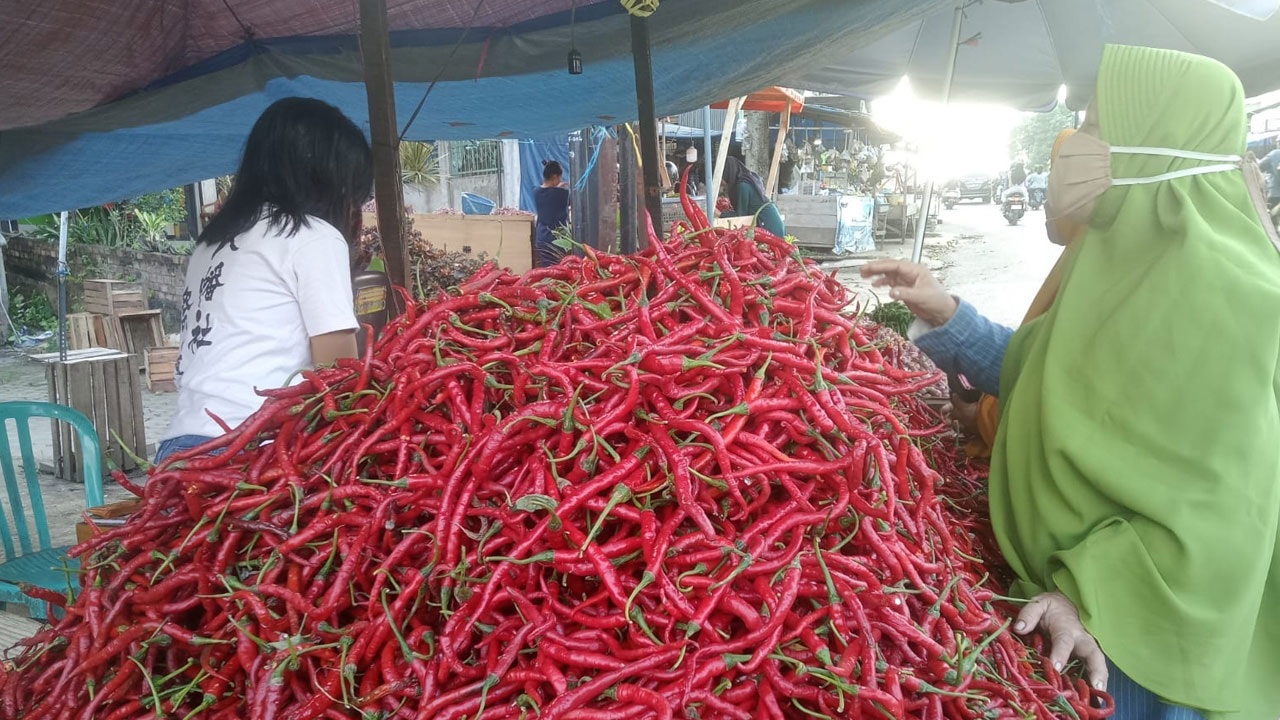 Sepekan Jelang Ramadan, Harga Cabai di Jambi Merangkak Naik