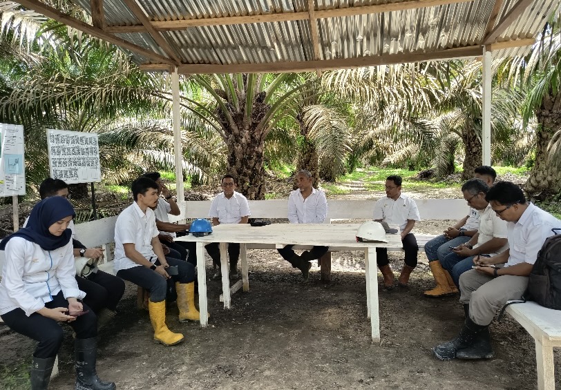 Kebun PTPN IV Regional IV Utamakan Operational Excellence 