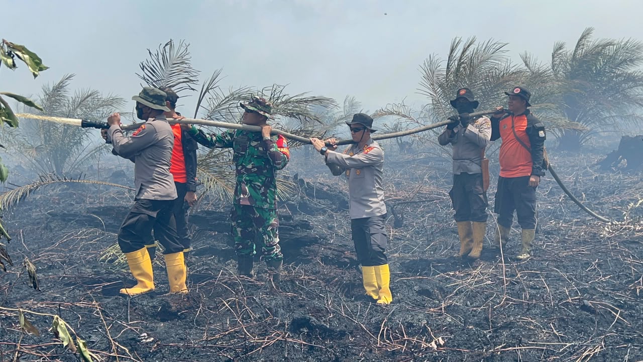 Karhutla di Sungai Gelam Capai Ratusan Hektar 