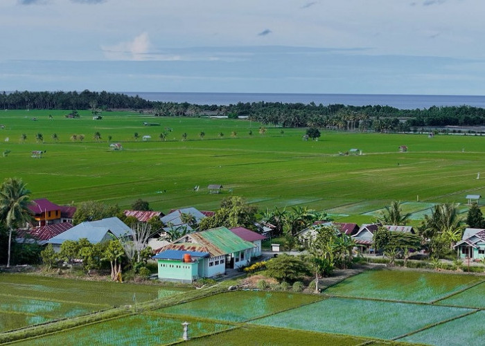 Dari Potensi Lokal ke Prestasi Nasional, Desa BRILiaN Sausu Tambu Perkuat Ekonomi Pesisir