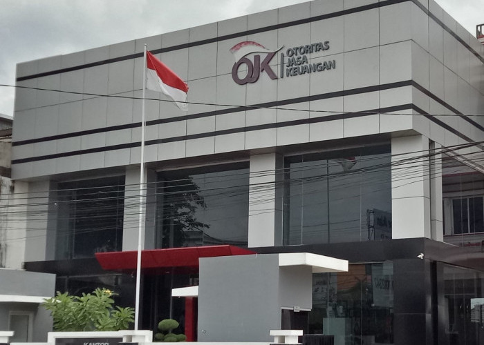 Sigap Ala OJK Siasati Ekonomi saat Kabut Asap