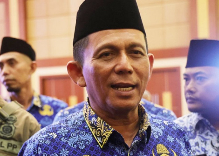 UMK Kabupaten/Kota di Provinsi Kepri 2024 Diumumkan, Kota Batam Tertinggi, Berikut Daftarnya  