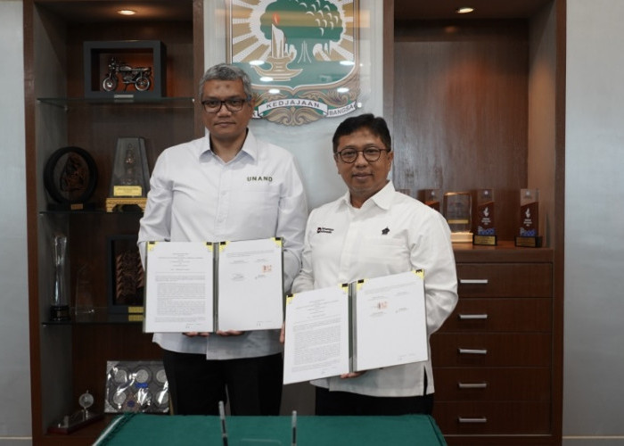 Kombinasikan Riset, Inovasi dan Kemitraan Rakyat, PalmCo Dorong Hilirisasi Gambir Nasional