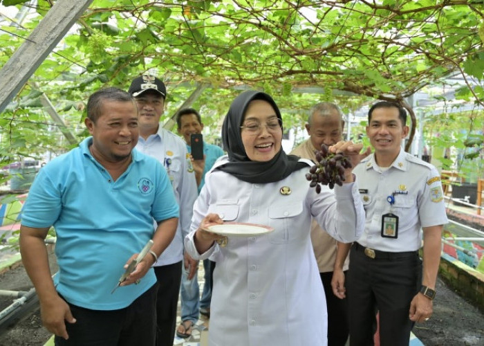 Wujudkan Ikon Wisata Baru, Pj Walikota Jambi Kunjungi Kampung Wisata Kebun Anggur 