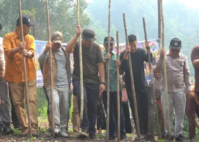 Bupati Merangin M. Syukur Turun Langsung Manugal Padi dan Salurkan Bantuan Pertanian di Desa Durian Rambun