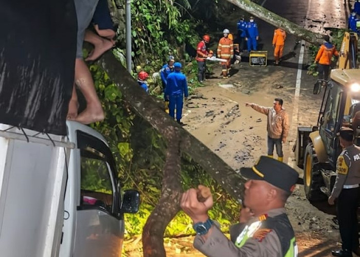 Longsor dan Pohon Tumbang di Jalur Sungai Penuh–Tapan, Akses Truk Masih Terhambat