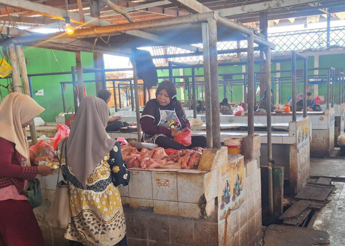 Harga Sejumlah Bahan Pokok di Kota Jambi Naik, Ayam Tembus Rp 48 Ribu Per Kilo