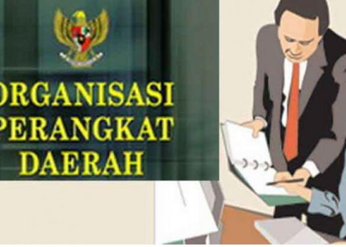 Pemkot Sungai Penuh Segera Kukuhkan OPD Hasil Perampingan, ASN Mulai Berkemas