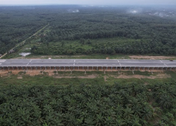Proyek Jalan Tol Betung-Tempino-Jambi Dikebut,  4 Ruas Jalan Tol Trans Sumatera Tidak Dilanjut, Ini Daftarnya
