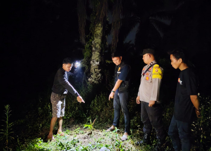 Petani Sawit di Bahar Utara Ditemukan Tewas di Kebun, Diduga Tersengat Arus Listrik