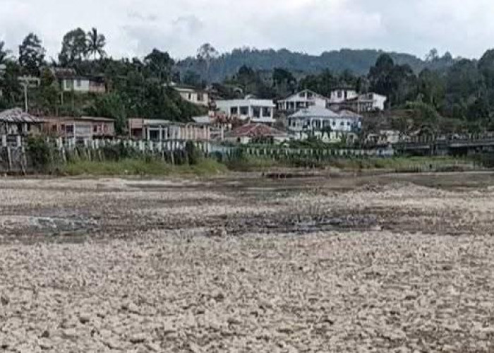 Danau Kerinci Terus Menyusut Parah, Sawah Kekeringan dan Nelayan Kehilangan Tangkapan