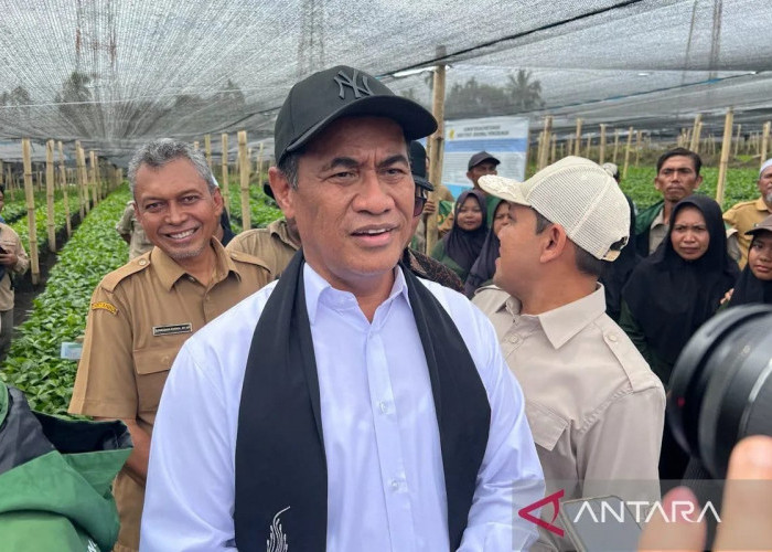 Mentan: Ekspor Satu Pintu Perkuat Posisi Tawar Komoditas Indonesia