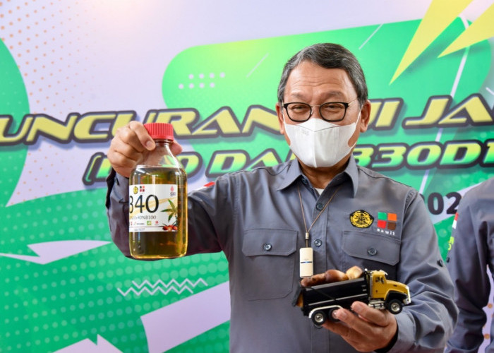  RESMI TURUN! Harga Biodiesel Rp 10.234 Per Liter Mulai 1 Juni 2023