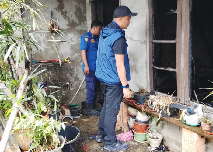 Kebakaran Hebat di Mendalo Asri, Pemilik Rumah Tewas Terpanggang