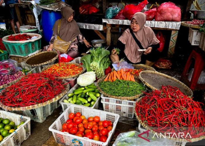 Ramadan 1447 H, Cabai Rawit Naik Jadi Rp68.836/kg, Telur Rp31.889/kg