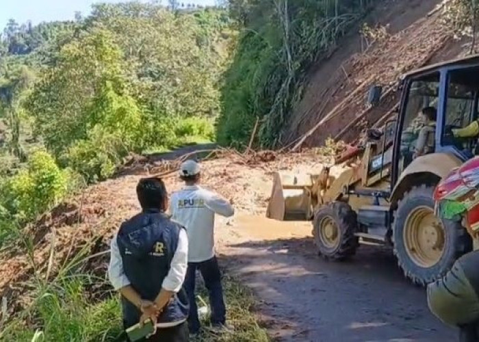 Longsor di Jalan Bukit Tirai Embun Kerinci, Akses Sempat Lumpuh, PUPR Turunkan Alat Berat