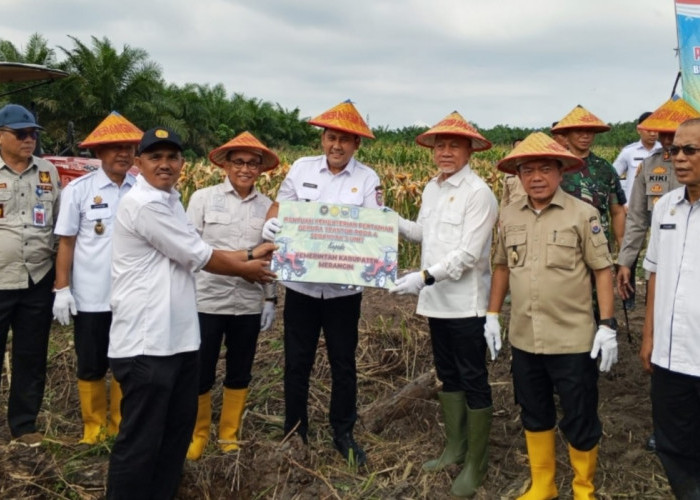 Panen Jagung di Merangin, Menko Pangan Serahkan Bantuan 5 Unit Traktor