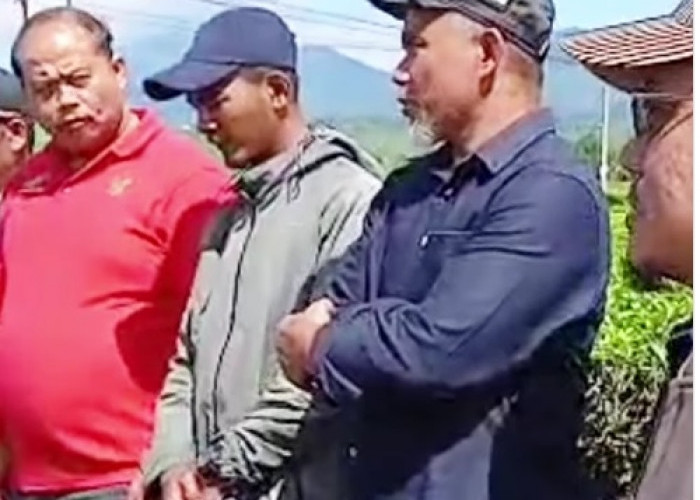 Region Head PTPN IV Regional 4 Tekankan Konsistensi Produksi dan Mutu Teh–Kopi di Kebun Kayu Aro