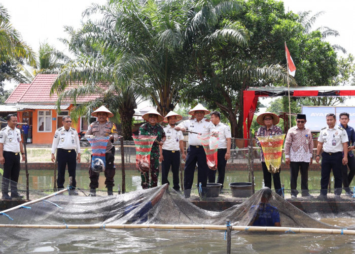 Kalapas Sarolangun dan Instansi Mitra Gelar Panen Raya Sayur Kankung dan Ikan Patin