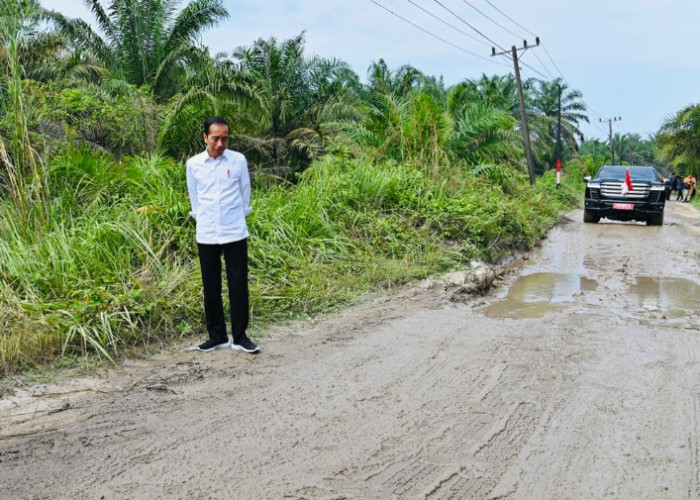 Jokowi Eksekusi Tiga Ruas Jalan Rusak di Sumut, Ini Lokasinya