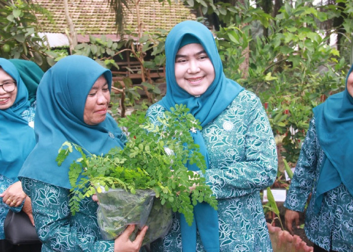 Hj. Fadhilah Sadat Tinjau Kebun TOGA Desa Purwodadi, Dorong Kesehatan Mandiri Keluarga
