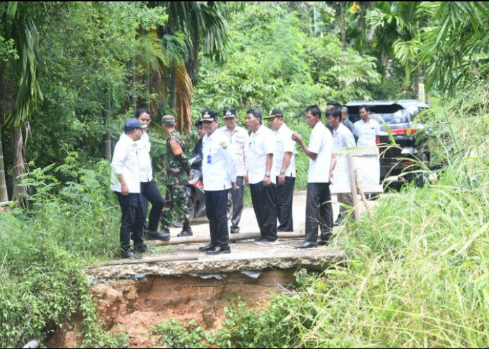 Pj Bupati Raden Najmi Tinjau Jalan Longsor di Mendalo Darat