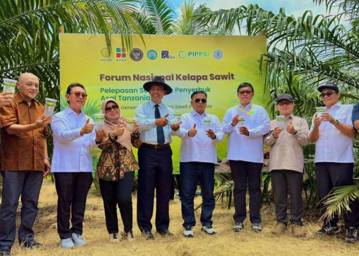 PTPN IV PalmCo Uji Coba Serangga Penyerbuk Asal Afrika di Simalungun untuk Genjot Produksi Sawit