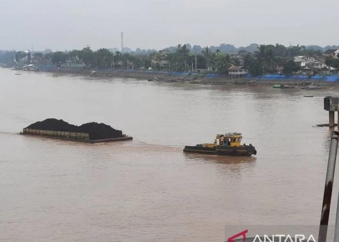 Pemprov Jambi: Pengangkutan Batu Bara Jalur Sungai Capai 11 Juta Ton 2024