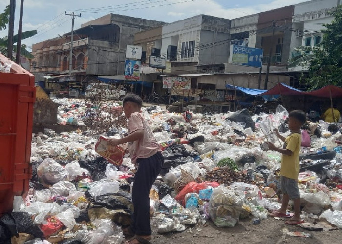 Masalah Tumpukan Sampah di Kota Jambi, Pemkot Berdalih Sulitnya Solar