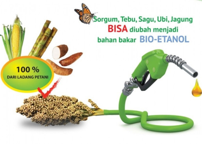 BBM Bioetanol Diluncurkan Bulan Ini di Surabaya, Berikut Bocoran Harganya