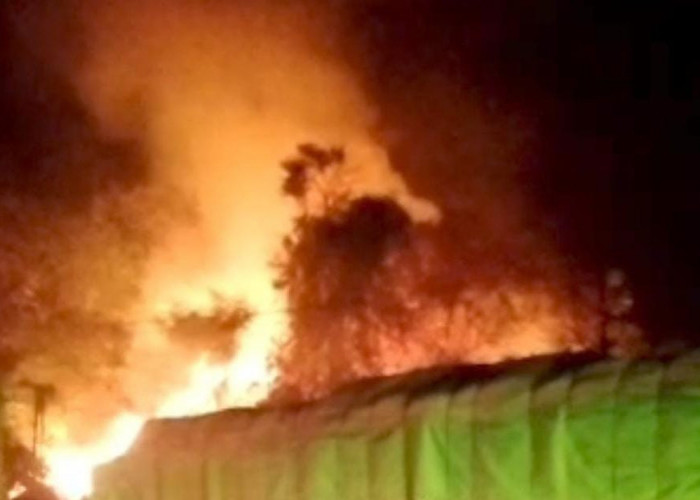 Lahan Kosong di Sungai Landai Terbakar, Damkar Habiskan 4.000 Liter Air