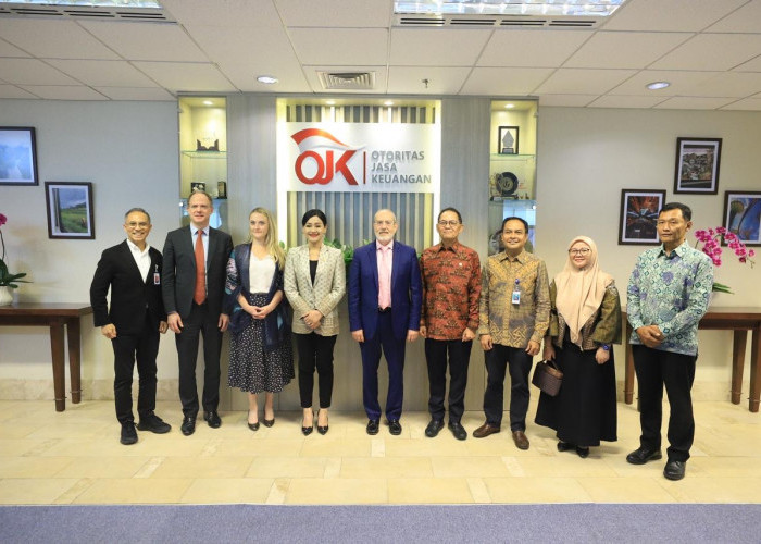 OECD Apresiasi Reformasi OJK dalam Sektor Asuransi dan Dana Pensiun