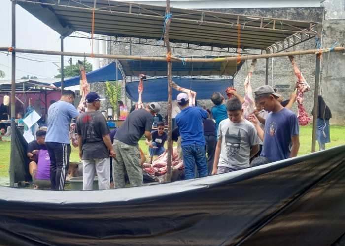 Idul Adha 1447 H, Villa Gading Mayang Potong 8 Sapi dan 1 Kambing