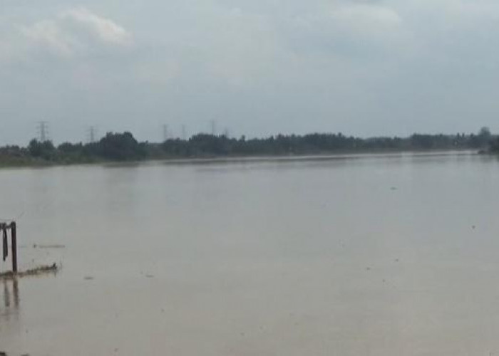  Debit Sungai Batanghari Naik, Bupati Muaro Jambi Imbau Warga Waspada Banjir