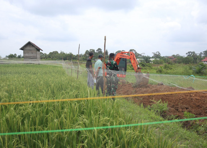 Dukung Ketahanan Pangan Nasional Kodim 0416/Bute Bangun Sodetan Saluran Air