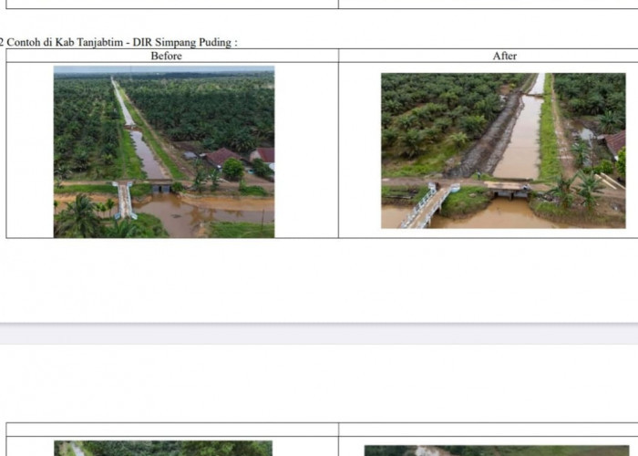 RAMPUNG, Rehabilitasi Jaringan Utama DI BWSS VI Jambi milik Dinas PU dengan Luasan Capai 5.050 Ha Sepanjang 11
