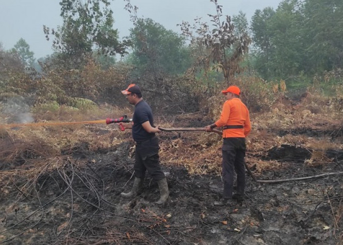 245,635 Hektare Lahan Terbakar di Tanjabtim, 252 Hotspot Terdeteksi