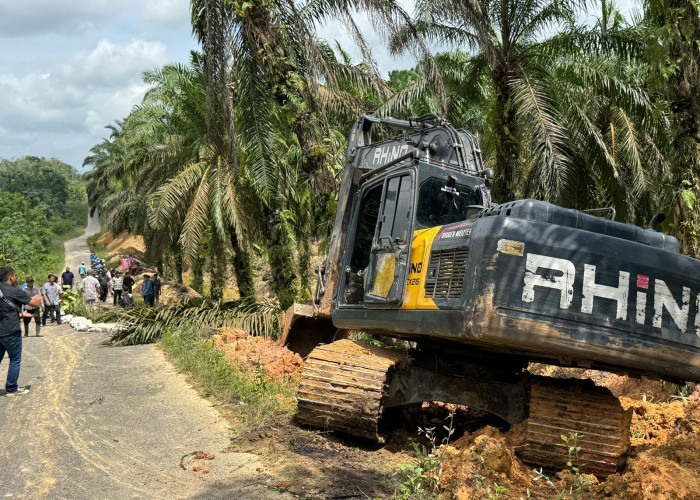 PTPN IV REGIONAL 4 Peduli Perbaiki Jalan Amblas Desa Kampung 9 Kabupaten Batanghari