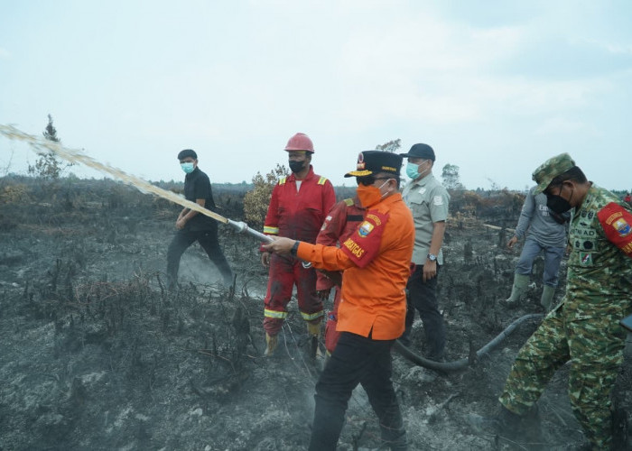 Gubernur Al Haris Berjibaku Padamkan Karhutla di Muaro Jambi, Dorong Masyarakat Manfaatkan Program PLTB