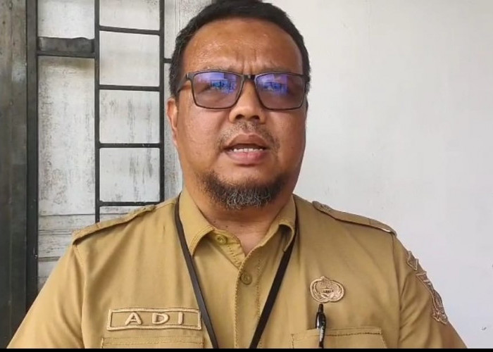8 Jabatan Kepala OPD Pemkot Jambi Dilelang Terbuka, ASN dari Sabang Sampai Merauke Boleh Daftar