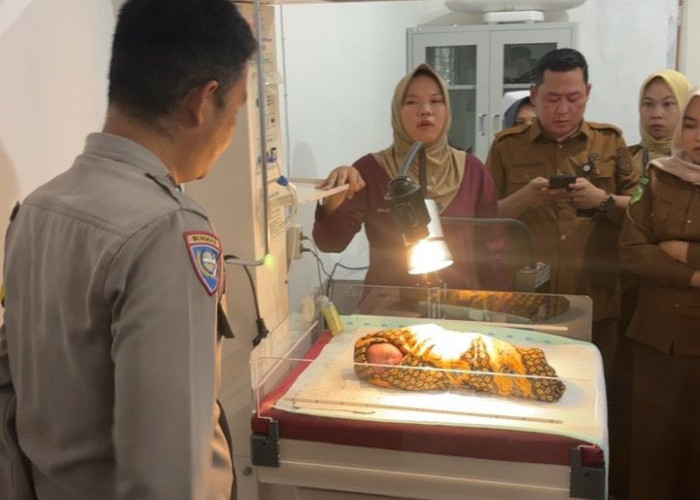Bayi Laki-Laki Ditemukan di Pinggir Jalan Desa Mukai Tinggi, Polisi Lakukan Penanganan