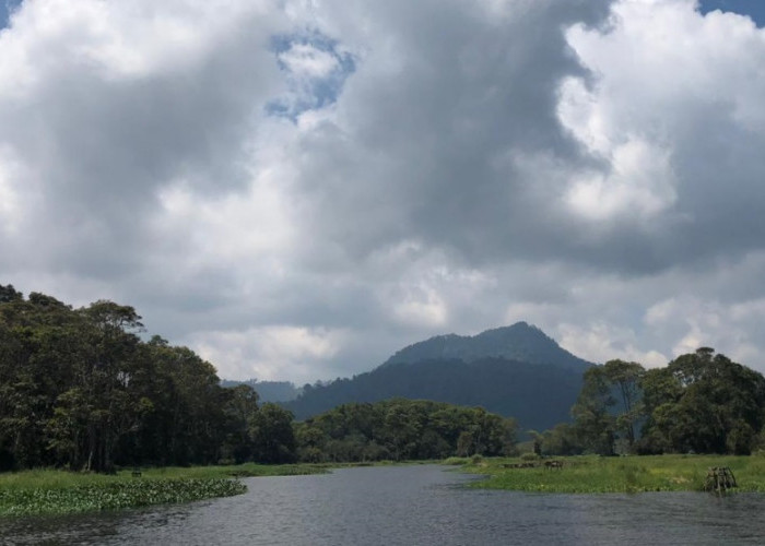 Menyusuri Rawa Bento kita bisa menikmati pemandangan Gunung Tujuh dan Gunung Kerinci.  (Foto: Fauzi Yosi Esiska/Jambi Ekspres)