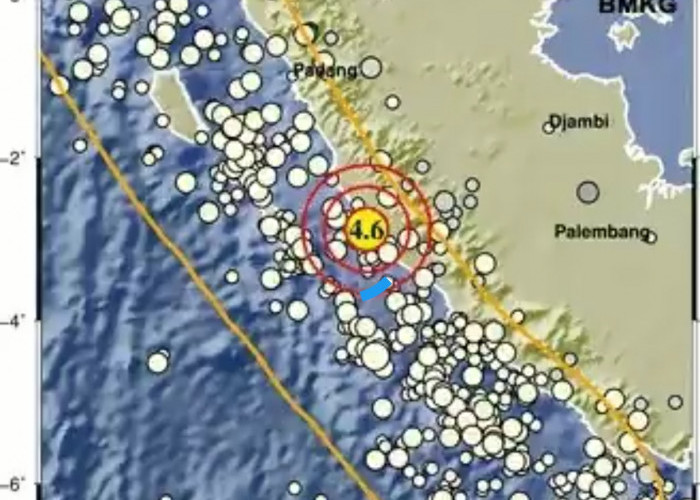 BREAKING NEWS! Gempa di Mukomuko Terasa Sampai Kerinci 