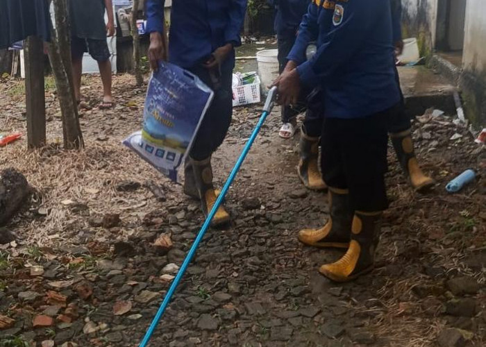 Damkartan Evakuasi Ular Kobra Masuk ke Rumah Warga