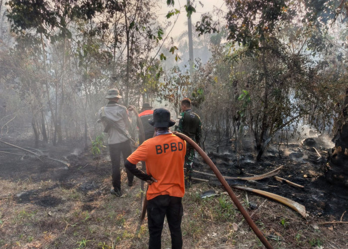 168 Hektare Luas Lahan Terbakar di Batang Hari, BPBD Imbau Masyarakat Kurangi Aktivitas di Luar
