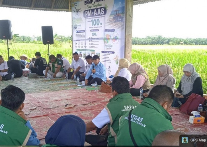 Pemkab Tanjab Barat Percepat Modernisasi Pertanian dan Perkuat Ketahanan Pangan