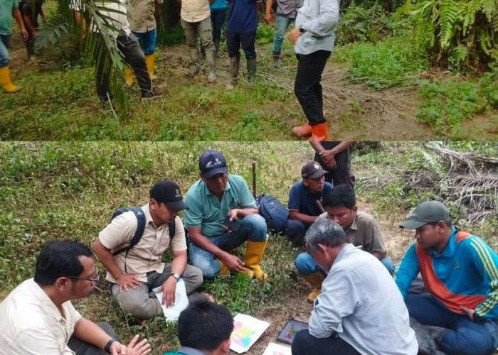 Usai Cek Areal Tanam Padi Gogo, Region Head PTPN IV Khayamudin Panjaitan Kunjungan Kerja Ke Kebun Bunut